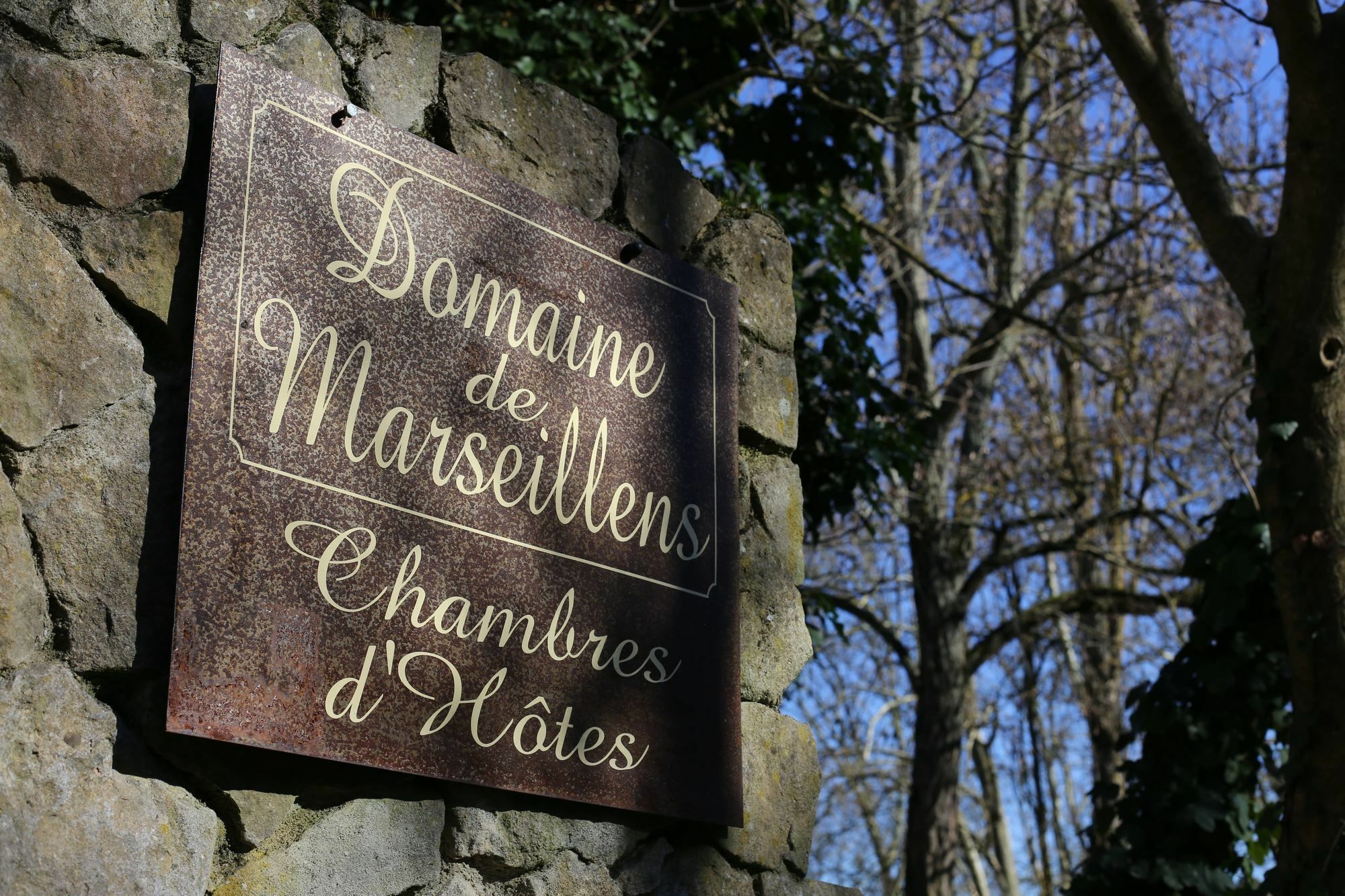 Domaine De Marseillens Panzió Palaja Kültér fotó